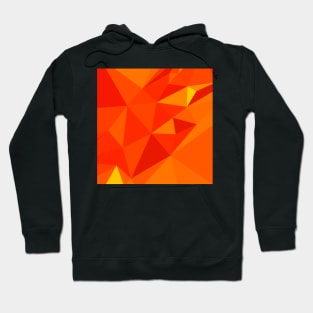 Carrot Orange Abstract Low Polygon Background Hoodie